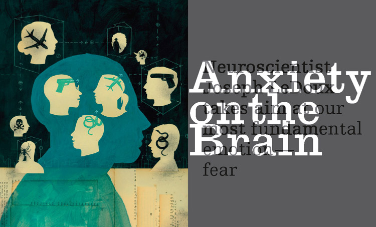 Anxiety on the Brain